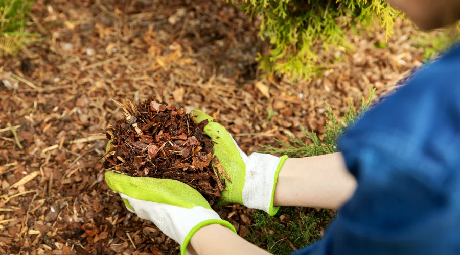 mulch installation