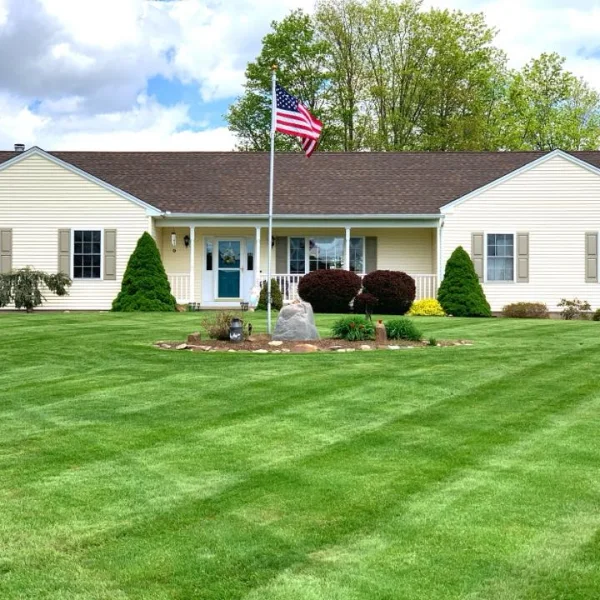 ongoing lawn care