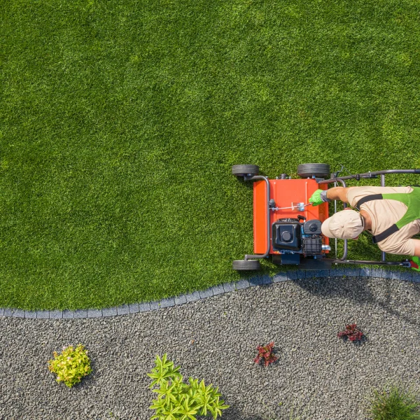 ongoing lawn maintenance