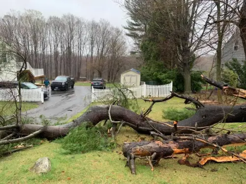 93128948 2601594653387968 4517973680319365120 n