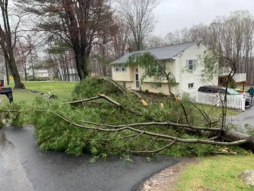 93216598 2601594680054632 665636037283807232 n