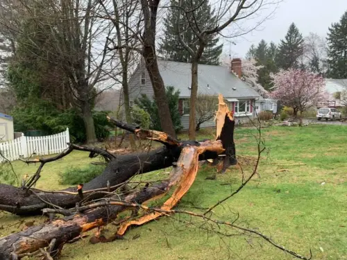 93258601 2601594626721304 6196948212473921536 n