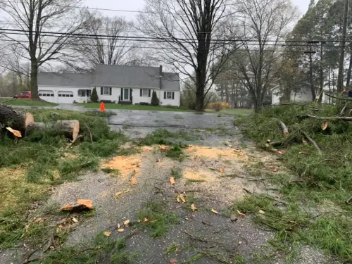 93380413 2601594800054620 7622173108958396416 n