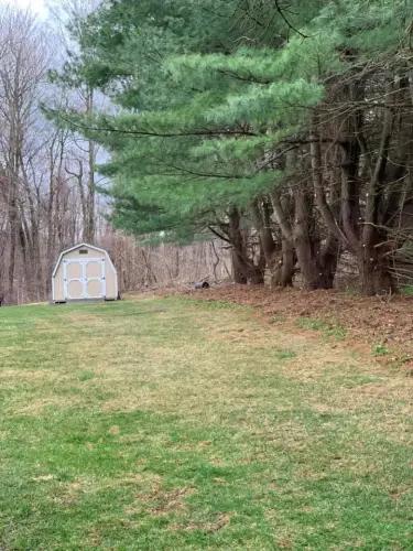 94022505 2608014089412691 9066389560551800832 n