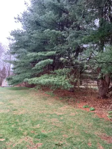 94155549 2608013359412764 8228905361994678272 n