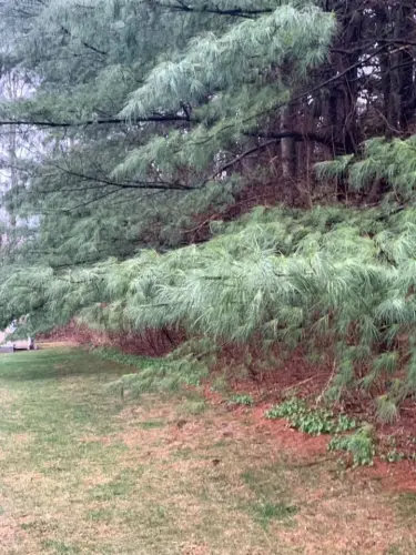 94377537 2608014036079363 8321864736501137408 n